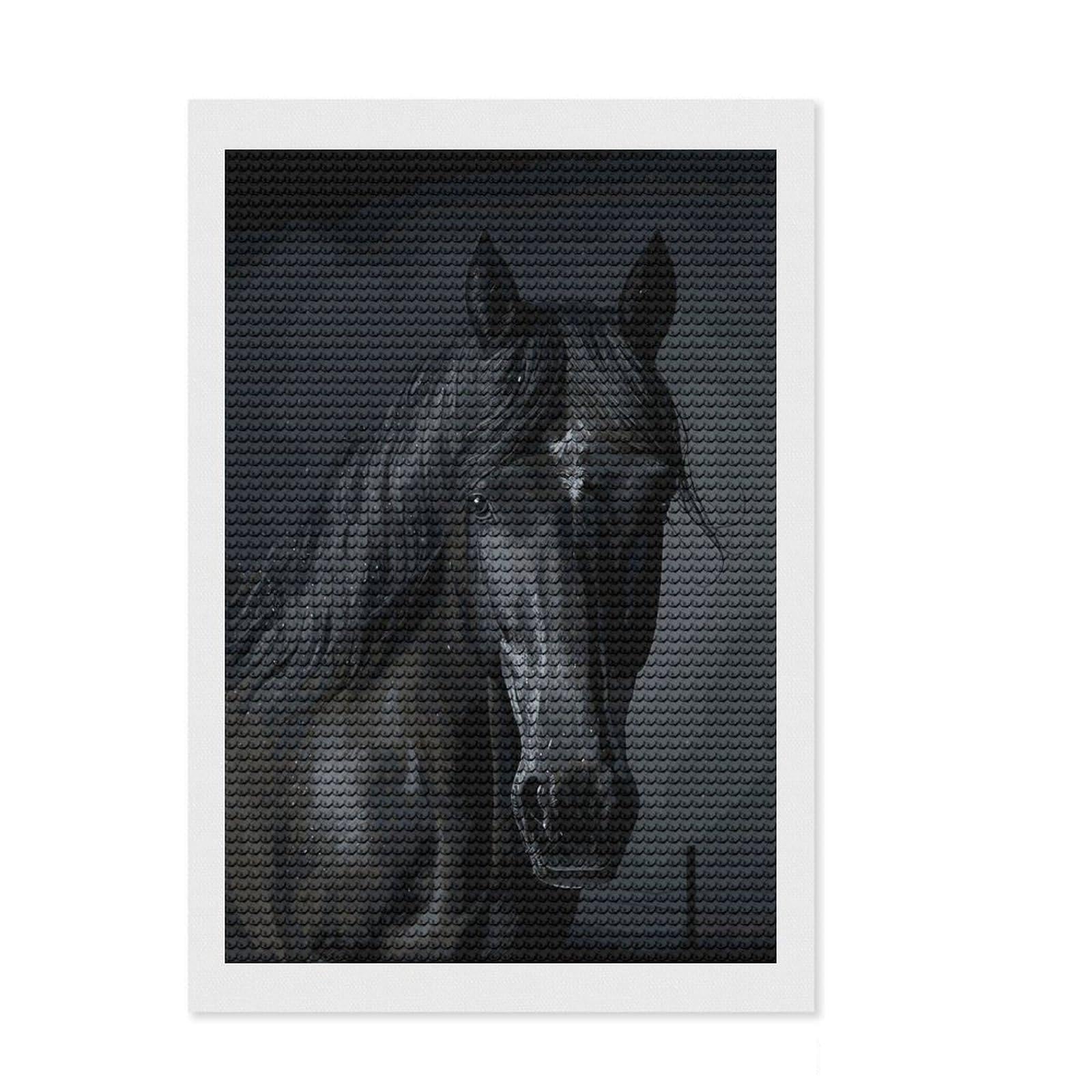 Junmoney Black Horse Diamond Art Kit 8"x12", Easy to Follow Symbols, Mindful Craft Activity, Bedroom Decor, Christmas Gift