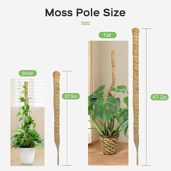 SYCARON Moss Pole, 2 PCS 28 Inches Moss Pole Sticks for Plant Support Monstera, Coco Coir Plant Support Stakes for Small Potted Climbing Plants, Indoor Plants to Grow Upwards - 3