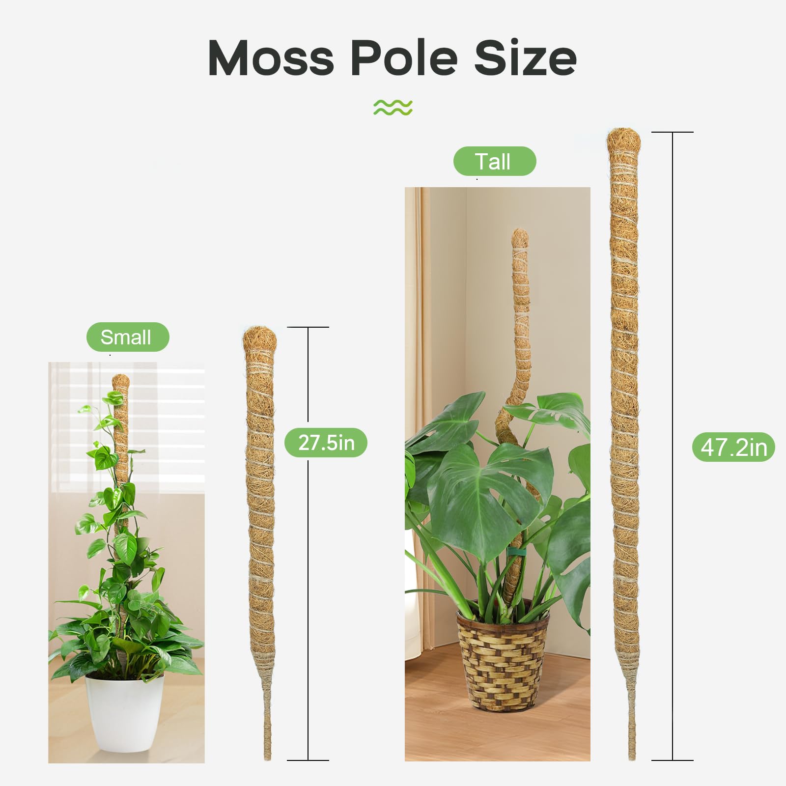 SYCARON Moss Pole, 2 PCS 28 Inches Moss Pole Sticks for Plant Support Monstera, Coco Coir Plant Support Stakes for Small Potted Climbing Plants, Indoor Plants to Grow Upwards - 3