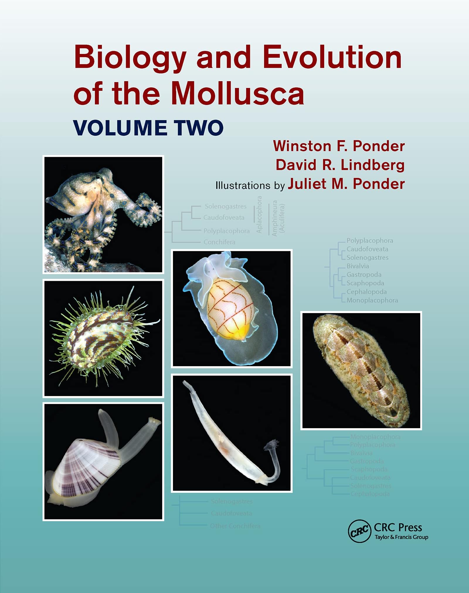 Biology and Evolution of the Mollusca, Volume 2