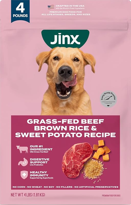 Alimento seco para perros Jinx - Carne de res alimentada con pasto, arroz integral y batata, 4 lb | Croquetas premium para apoyo digestivo e inmunidad saludable: sin rellenos, todas las etapas de la vida (cachorros, adultos y personas mayores), razas y tamaños