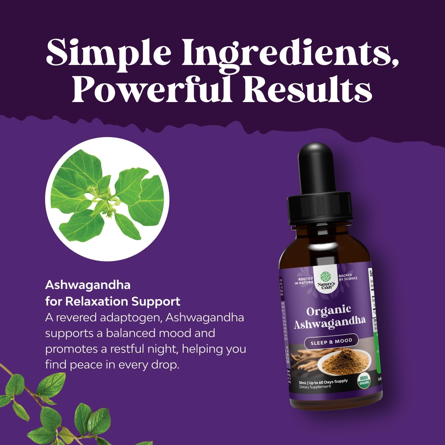 USDA Organic Ashwagandha Liquid Drops - Liquid Ashwagandha Root Extract for Stress and Mood Support - Tasty Adaptogenic Tincture Non GMO Vegan Gluten Alcohol and Sugar Free 1 Fl Oz (Pack of 2)