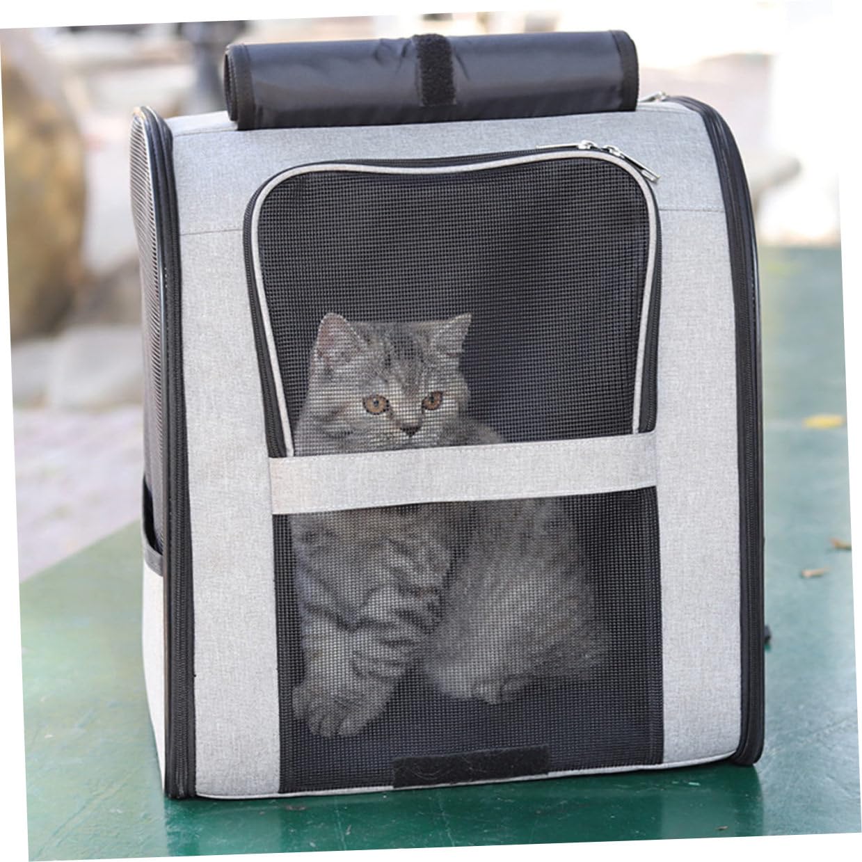 Artibetter Katzenrucksack Transport Mit Atmungsaktivem Netzgewebe Robuste Haustiertragetasche Aus Bequeme Katzen-Reisetasche Für Sightseeing Und Reisen