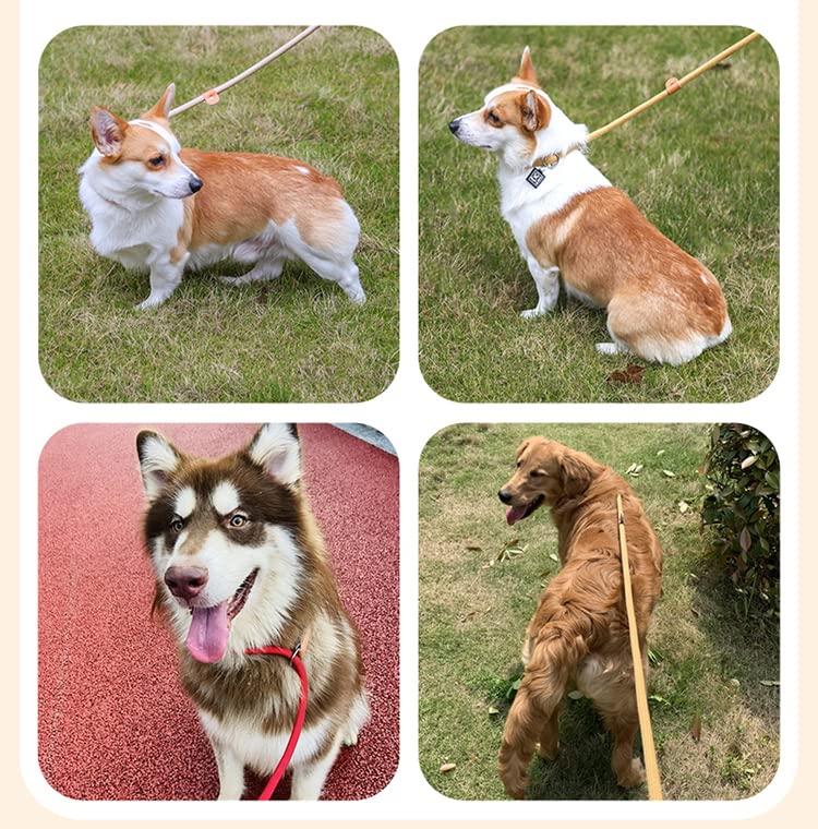 The Smug Dog Slip Leash for Dogs - 150cm Training Dog Lead, Blue - Image 4