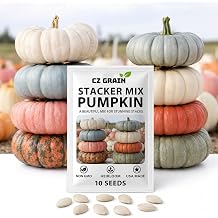 Heirloom Pumpkin Seeds for Planting, Unique Decorative & Giant Pumpkin Varieties, Non-GMO Fall Garden Seeds, Rare Specialty Pumpkins for Harvest Decor & Home Gardens Stacker Mix