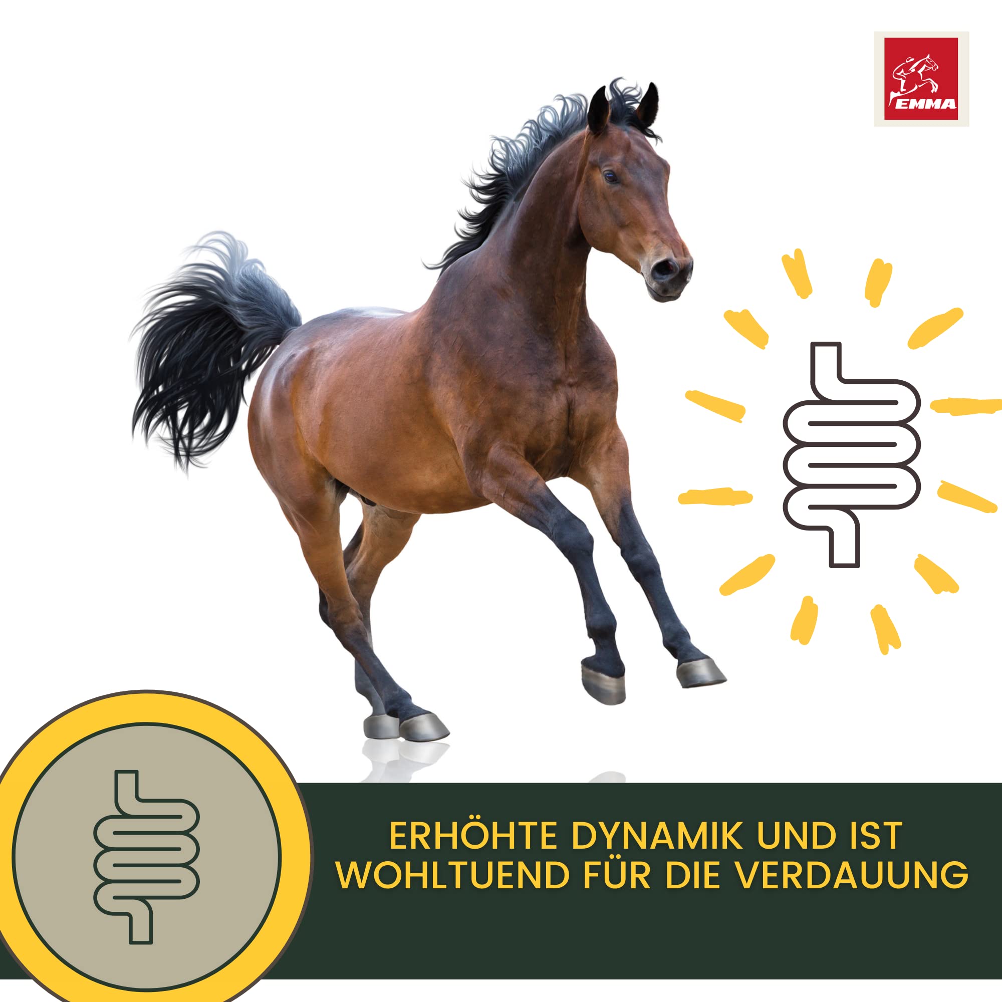 Olio di lino per cavalli e cani mangime per cavalli integratore alimentare I omega 3-6 acidi grassi in olio I spremuto a freddo I vitamine A, D & E I per pelo lucido ed energia I 100% naturale 2,5L