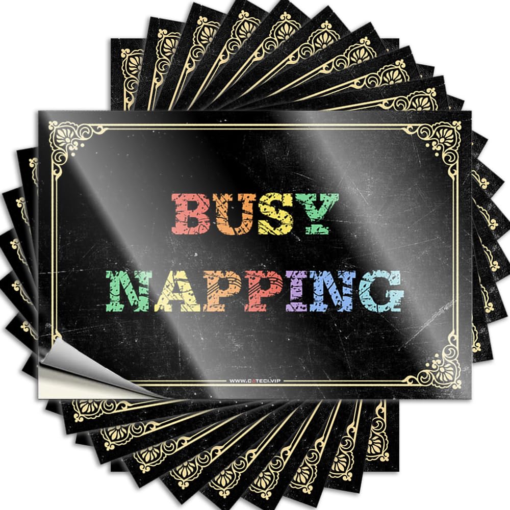 Decal Pool Stuff Waterproof Vinyl Sticker | Busy Napping Fluffy Water for Checkered DIY Projects(12X18CM)