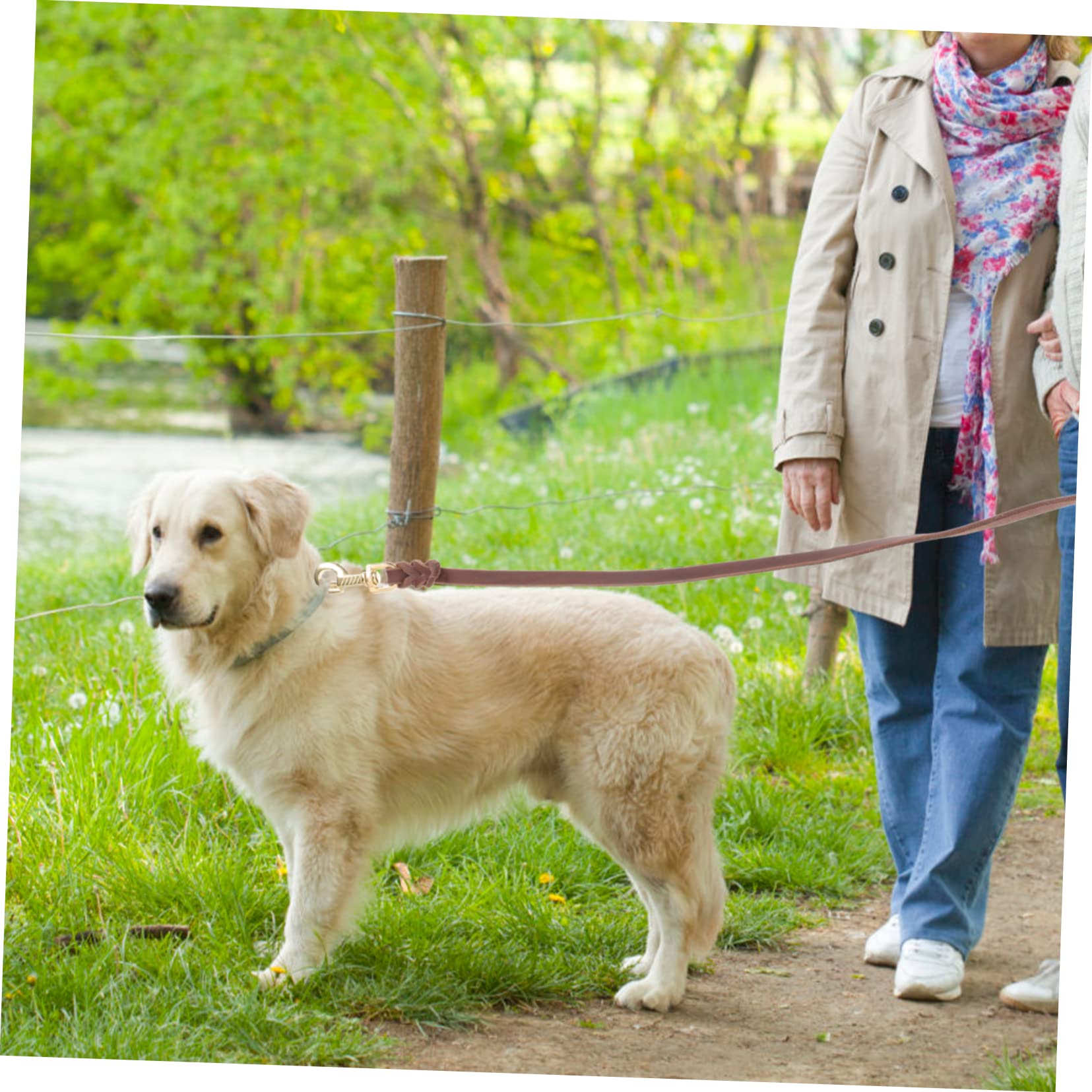 Sosoport 3piezas Correa De Perro Portátil De Resistente para Paseos Diseño De Hebilla Adecuada para Perros y Longitud