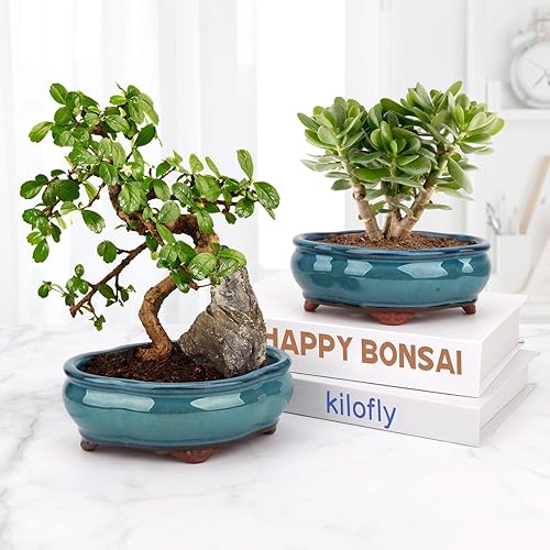 Miniatura 6 de Juego de 2 macetas esmaltadas pequeñas para suculentas de 5.7 pulgadas + 6 pantallas de drenaje de malla suave