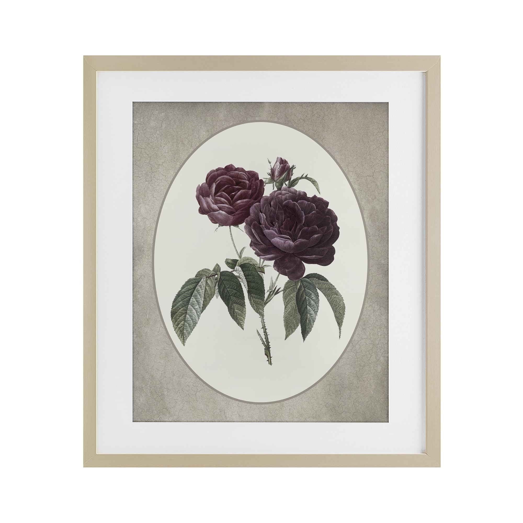 Affiche encadrée vintage Blooms Stupell Industries pour une atmosphère empreinte de nostalgie