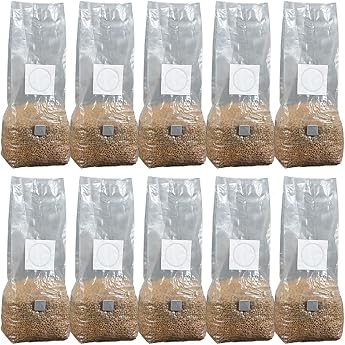 Set mit 10 Pilz-AnzuchtbeutelnPilze z chten setParasol pilze z chten setzugeschnitten auf Ihre Wachstumsbedingungen 15   50