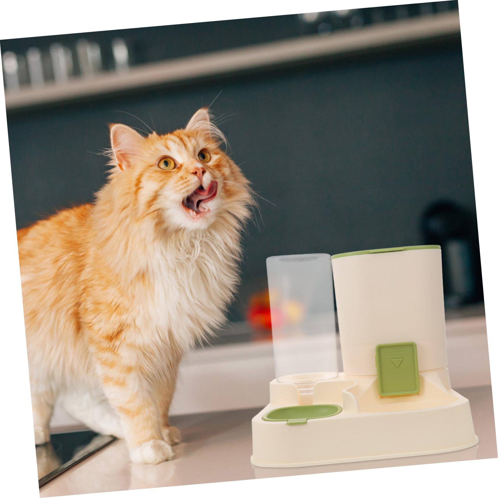 Distributeur Automatique D’Eau et Nourriture pour Chien, Grosse Capacité 1 | Bol en Pp Détachable, Conservation Fraîche des Croquettes, Usage Pratique pour Chiot et Foyers Multi-animaux