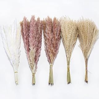 105pcs 17.72" Pampas Grass White 15pcs▕Brown Dried Plants 30pcs▕60pcs Natural Dried Grass, Natural Home Decor & Ideal for ...