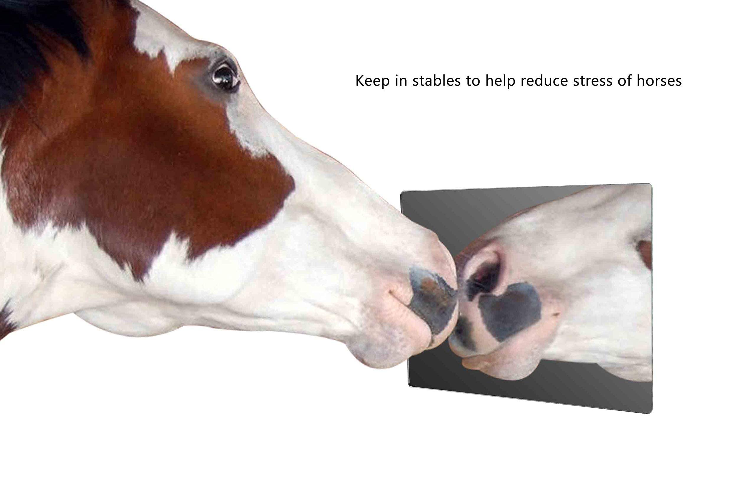 Marketing Holders Acrylic Mirror Sheet 8