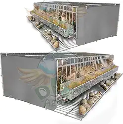 Kit 2 Gaiola Codorna Viveiro Japonesa Postura Ovos 30 Aves Poedeira