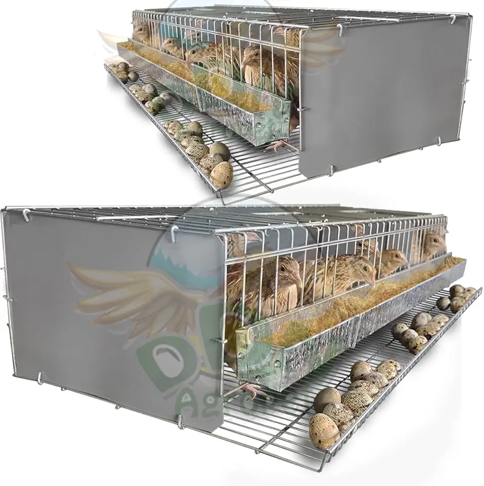 Kit 2 Gaiola Codorna Viveiro Japonesa Postura Ovos 30 Aves Poedeira