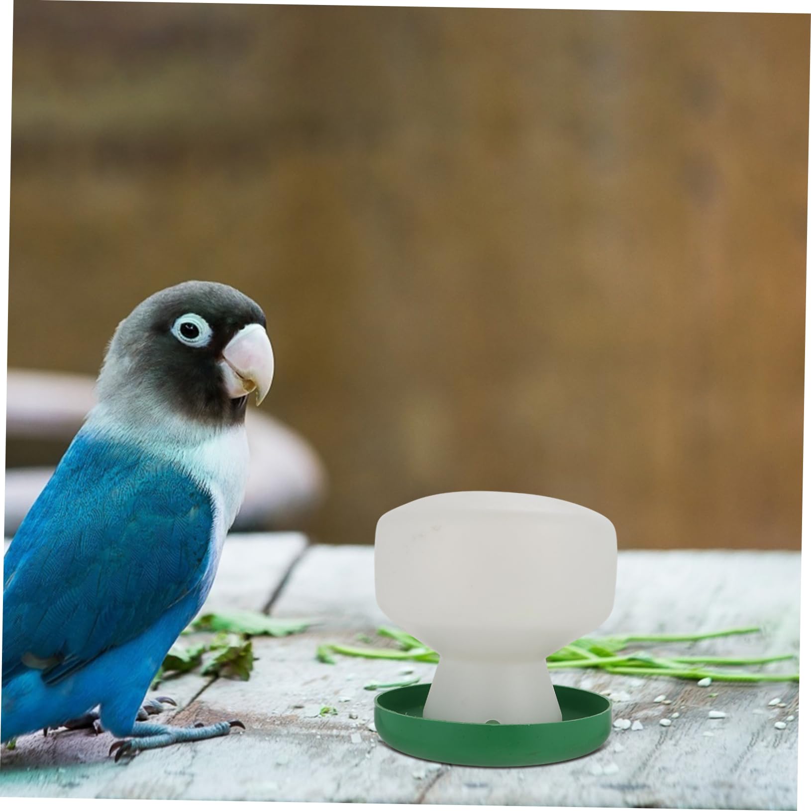 VANZACK 6pièces Distributeur Automatique Eau pour Oiseaux Lot de Accessoires Pratiques pour Perroquets Et Petits Oiseaux Conception Étanche Et