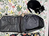 Review Image by Jenna Sellards Jenna Sellards