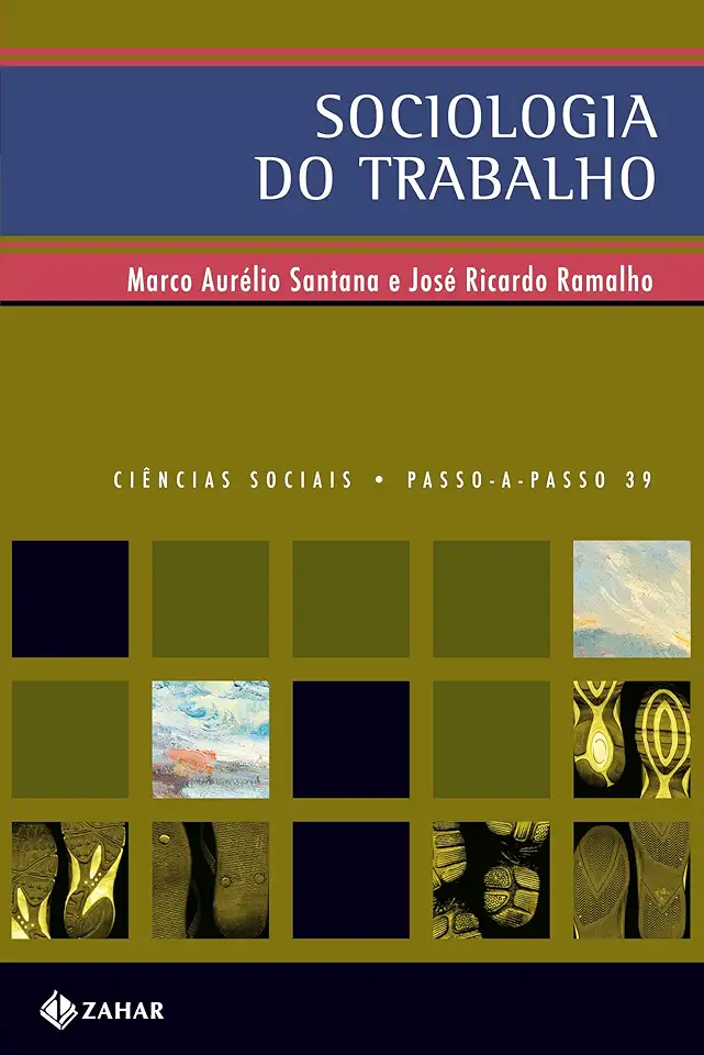 Sociologia do trabalho: No mundo contemporâneo