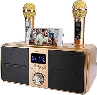 Karaoke Machine for Adults Kids, Portable Karaoke Machine with 2 Wireless Microphone, Wireless Karaoke Speaker Portable Karaoke Machine (Gold)