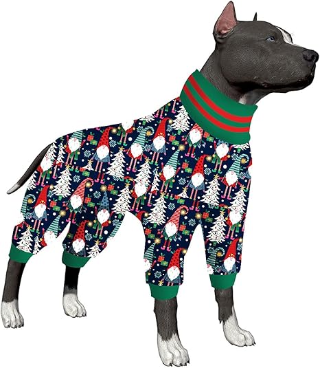 outfits for pitbulls