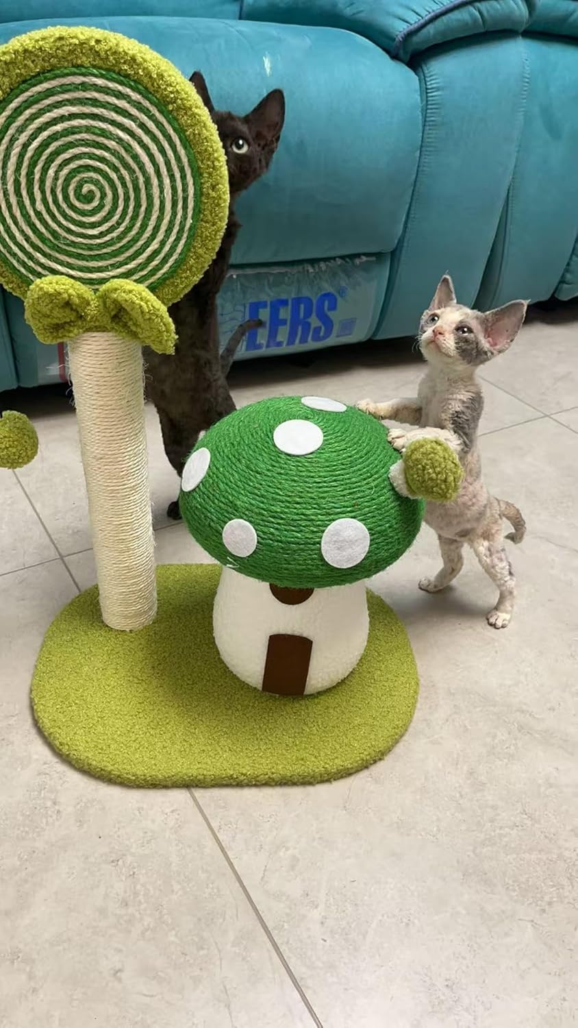 PW CO Candy Forest Cat Scratcher – Designer Mushroom & Flower Mushroom Cat Tree – High-Density Artistic Cat Furniture for Indoor Small Cats and Kittens
