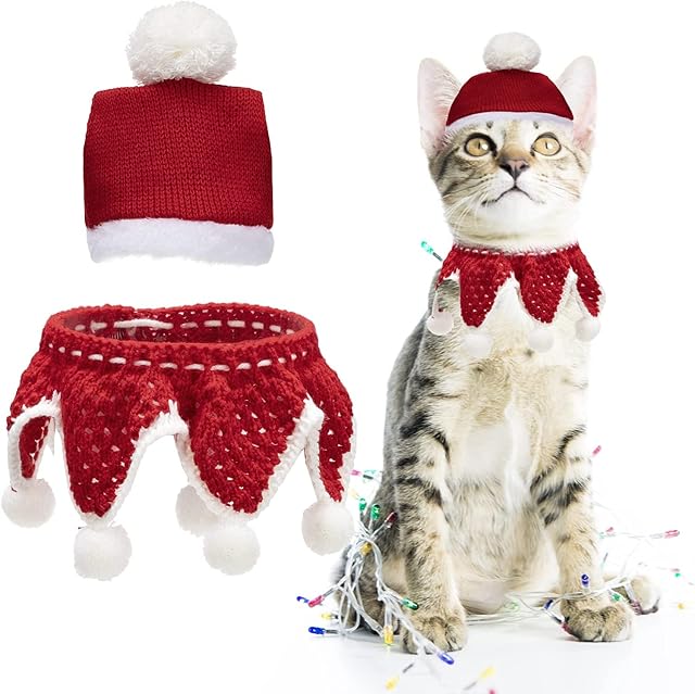 EXPAWLORER Christmas Cat Costume, Knitted Christmas Cat Hat and Collar Set, Santa Pet Outfit, Ideal for Puppy Cats
