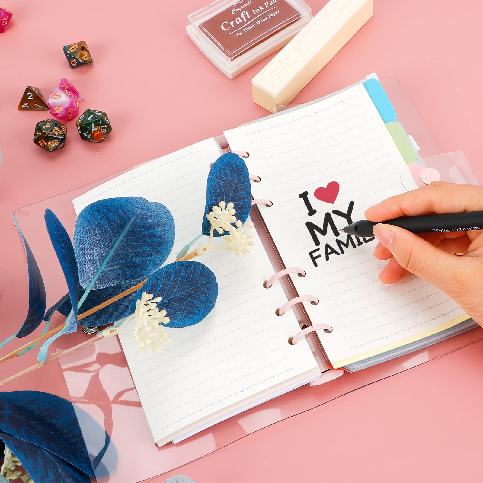 2 Classeurs Transparents A5 Gfamous - Anneaux 6 Trou - PVC Étanche - Pour Carnets, Dessins