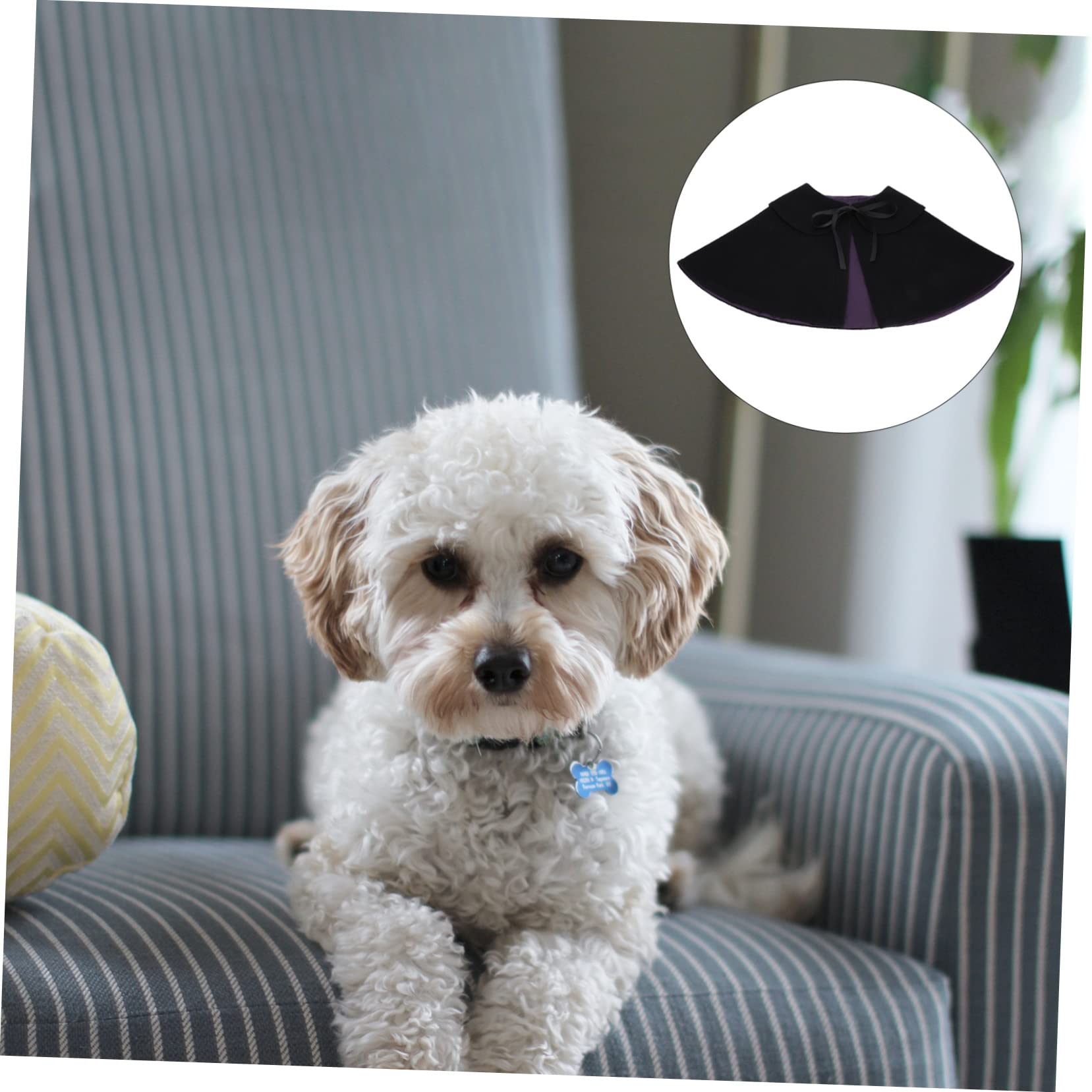 Sosoport 2pezzi Cloak Per Animali Domestici Nero Costume Da Strega Per Halloween Accessorio Decorativo Per Cani e Gatti Per Feste e Servizi Fotografici