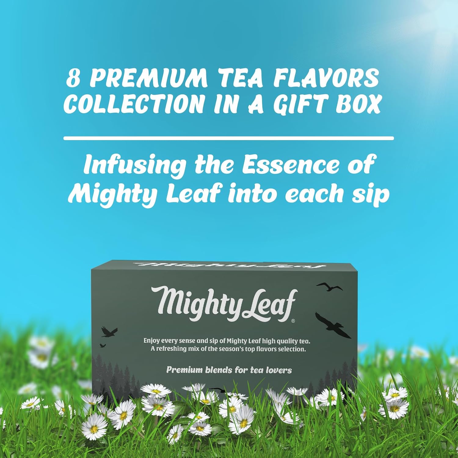 Mighty Leaf Organic Tea Sampler – 40 Count Silken Tea Bags – 8 Assorted Flavors: Tropical Green, Chamomile Citrus, Earl Grey, Vanilla Bean, White Orchard, Breakfast, Spring Jasmine, African Nectar – Premium Tea Gift Box