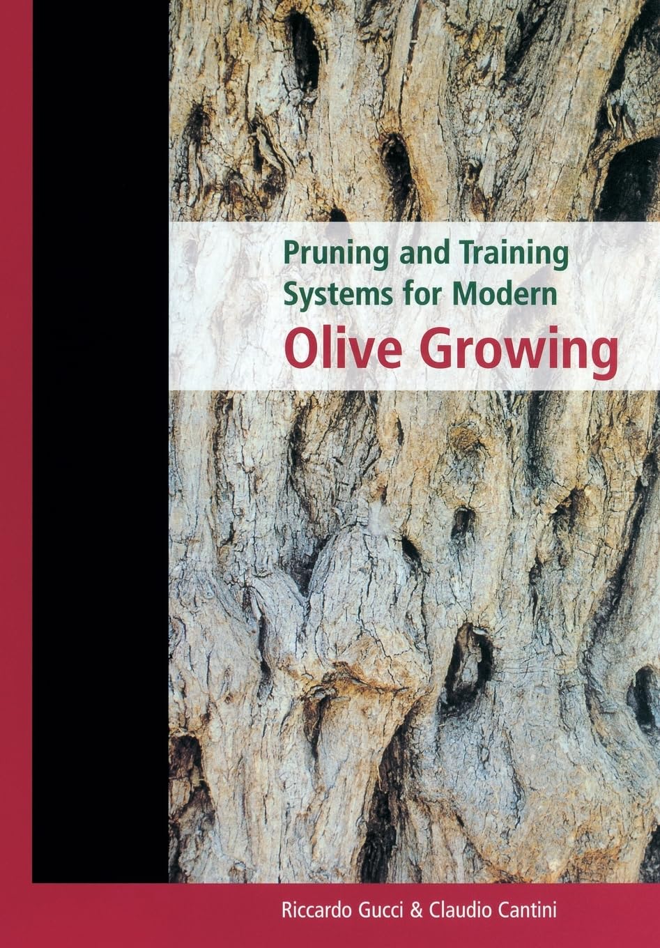 Pruning and Training Systems for Modern Olive Growing