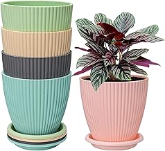 ZENOVIA Round Trendy Plant Pots for Indoor & Outdoor Plants | Decorative Planters with Drainage & Tray | Minimalist Plastic Flower Pots for Home, Balcony & Office (Multicolor, Pack of 5)