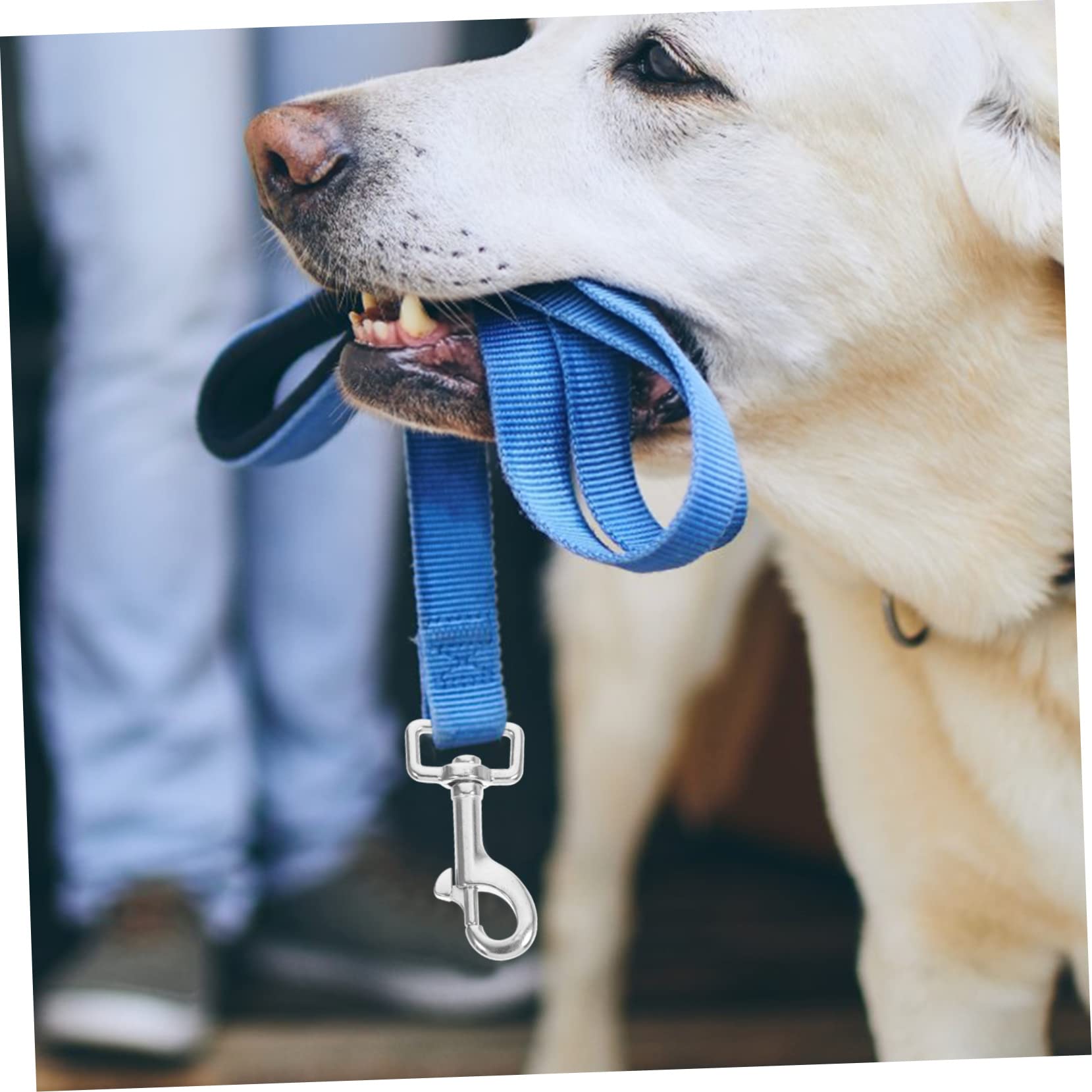 FUNOMOCYA Stainless Steel Pet Chain Hook Dog Leash Clip Swivel Snap Hooks for Outdoor Use