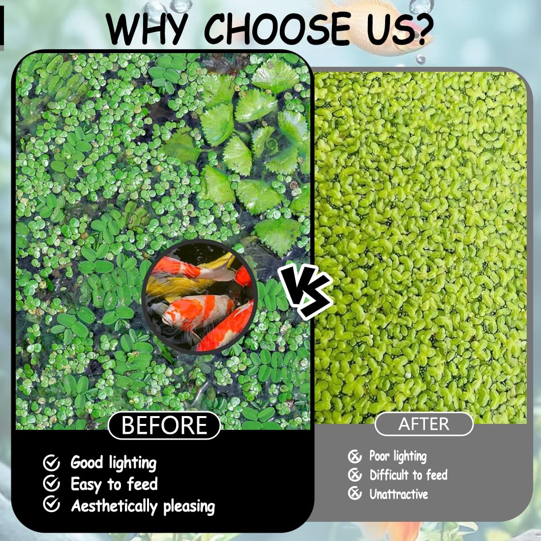 Juego de 7 Anillos flotantes para Plantas de Acuario, Separador Circular Flotante Negro para Plantas, Barrera Protectora y área de alimentación para Peces, Varios tamaños — view 2