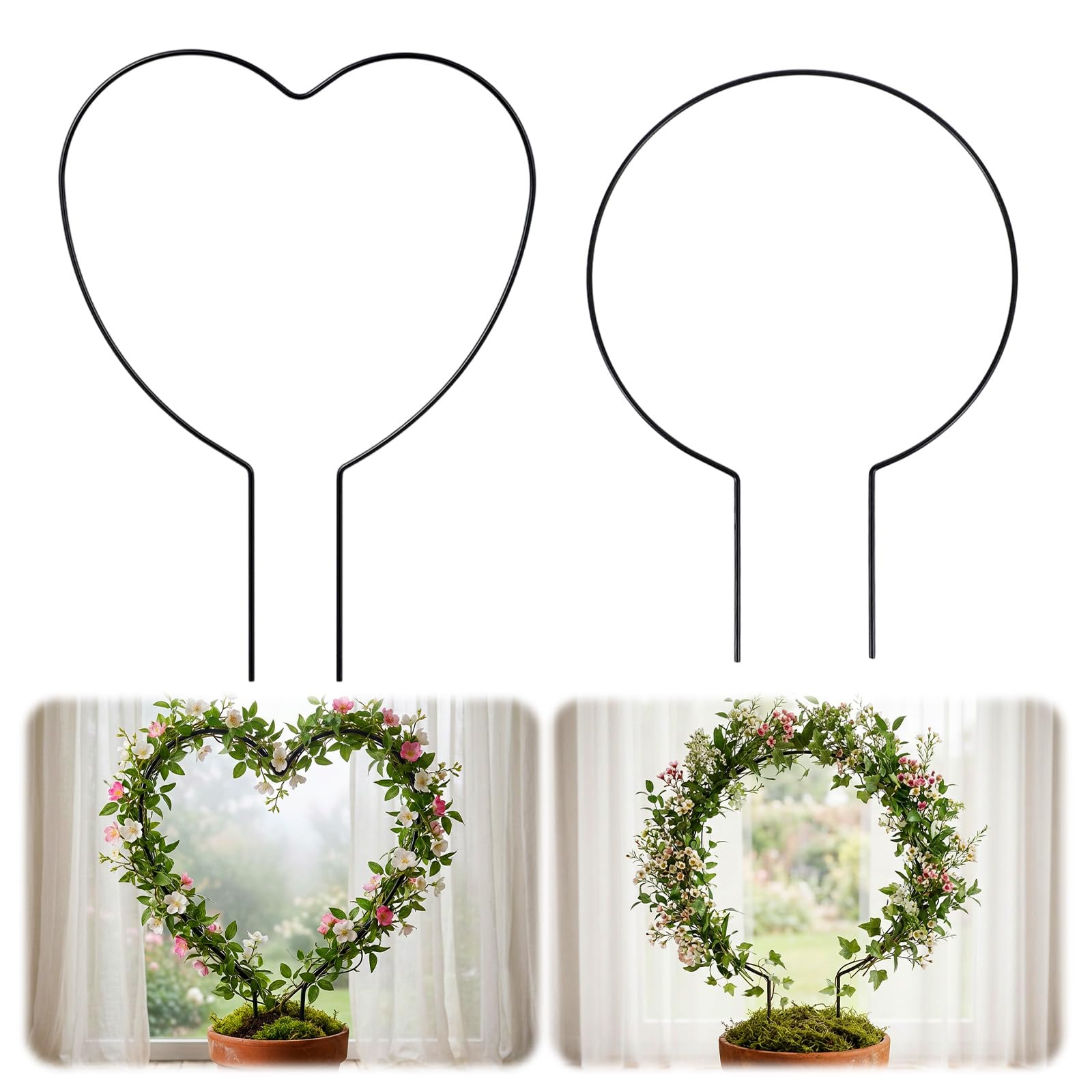 2 Pack Hoya Trellis Indoor Plant Trellis Round Plant Trellis for Climbing Plants Hoya Trelli for Potted Plant Support Metal Small Trellis for Ivy Monstera Flower Philodendrons Dischidia