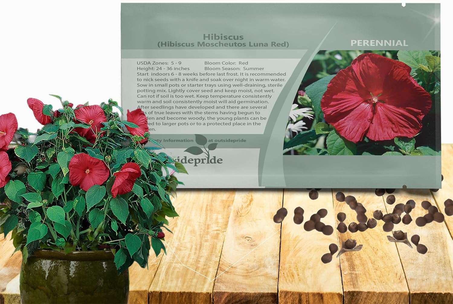 Outsidepride Luna Red Hibiscus Seeds - 10 Pcs Perennial Flower Seeds for Planting Pollinator-Friendly, Large & Elegant Blooms with Dense Dark Green Foliage for Containers, Pots, & Garden Spaces