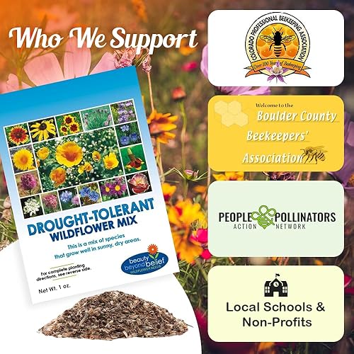 Miniatura 6 de Semillas de flores silvestres resistentes a la sequía mezcla de semillas de flores a granel polinizadas abiertas para hermosas flores de jardín