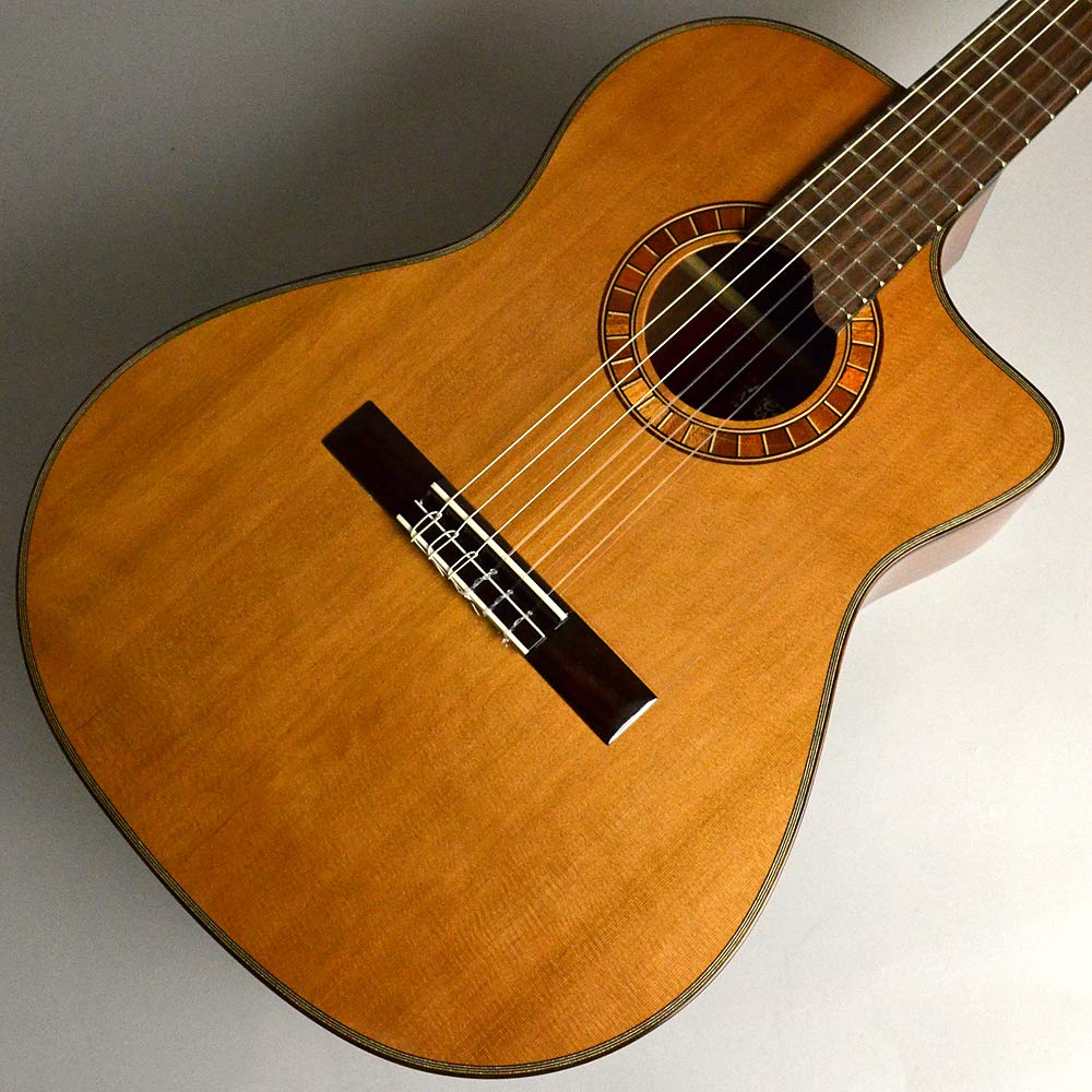 Amazon | Martinez MP-14 MH-Artist | クラシックギター | 楽器・音響機器