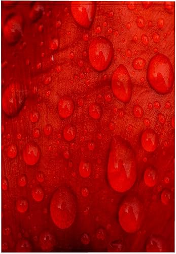 Toalla de mano con diseño de pétalos de tulipán rojo con diseño de rosa 3D, 15 x 22 pulgadas