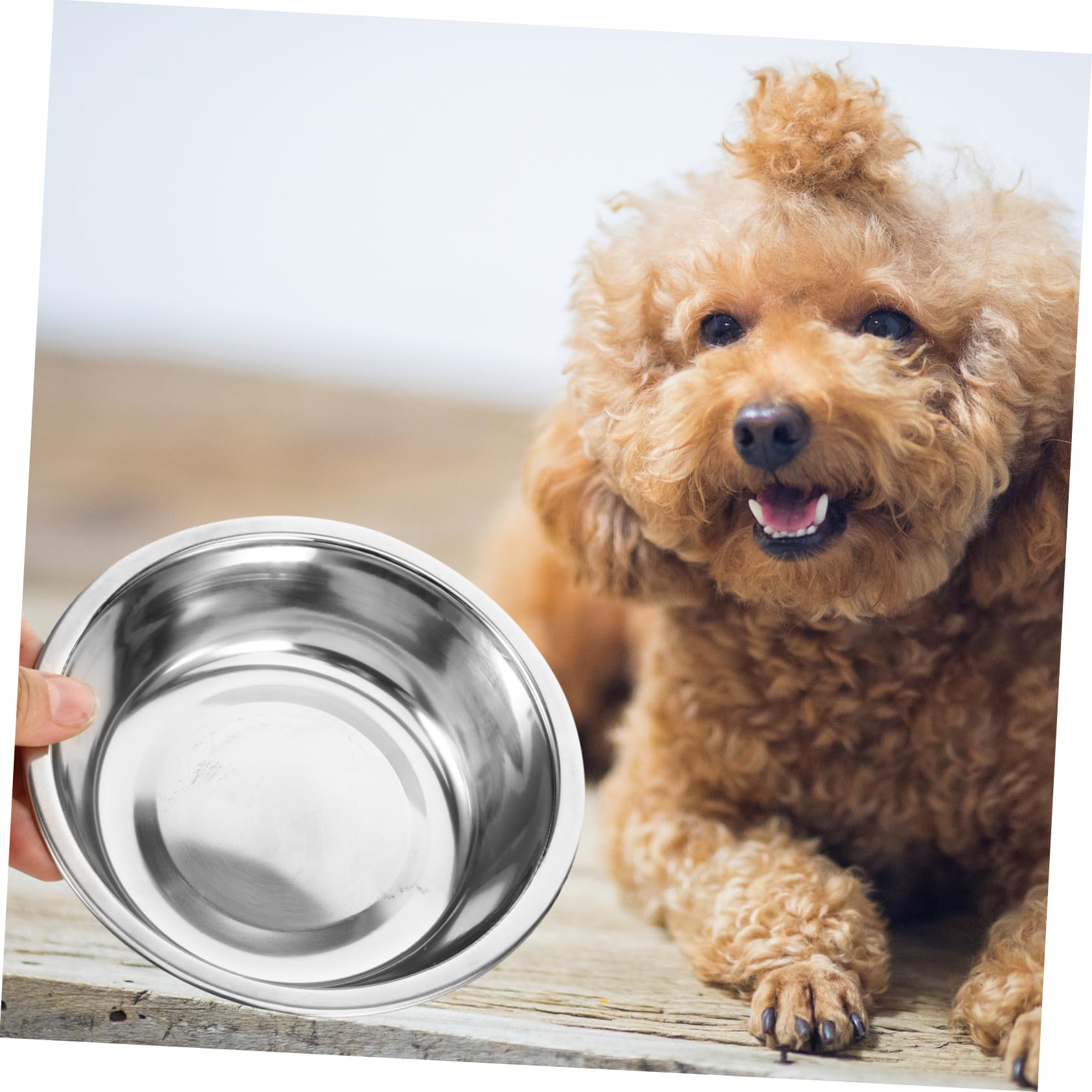 COLLBATH Unique Design Hanging Water Bowl Pet Cage Accessory for Cats Dogs and Birds Easy to