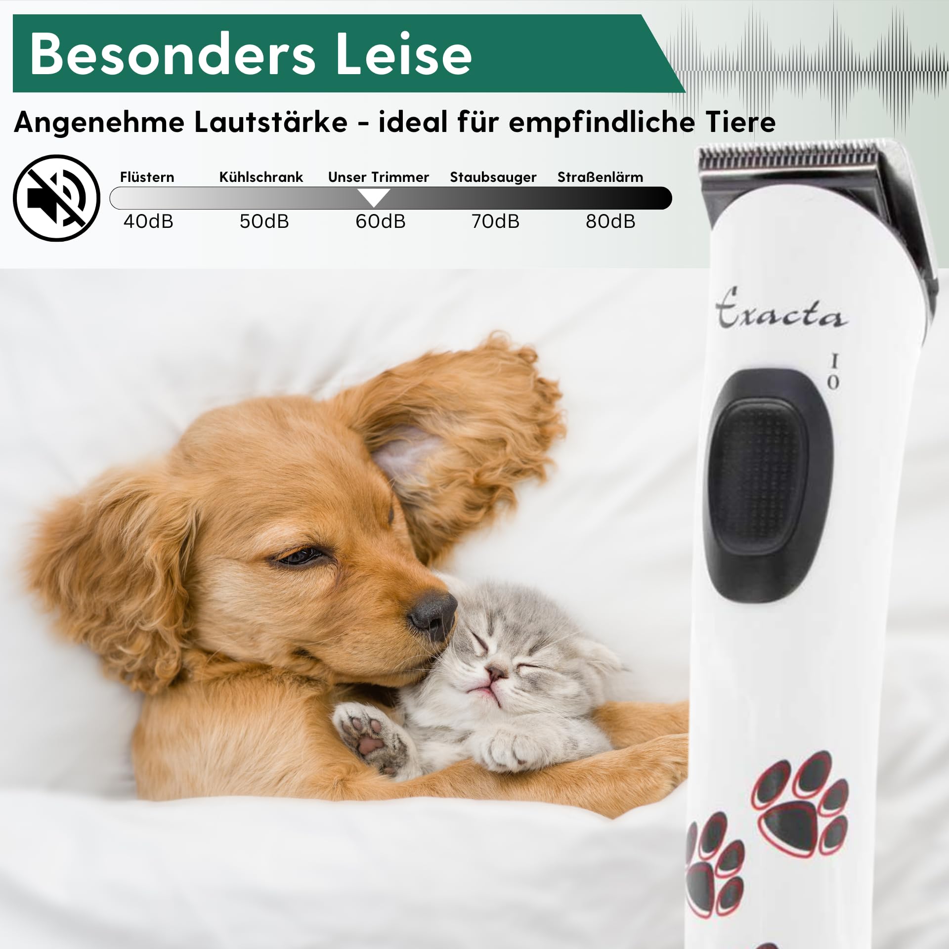 Agrarzone Aesculap Exacta Tondeuse pour chien Blanc | Tête de rasage de rechange, silencieuse, sans vibrations, mince, légère