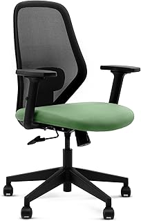 Frido Glide Ergonomic Office Chair with Height Adjustable Lumbar Support Breathable Mesh Back 2D Adjustable Armrests Home & Work Desk Chair for Long Sitting Hours 100 kg Capacity Green