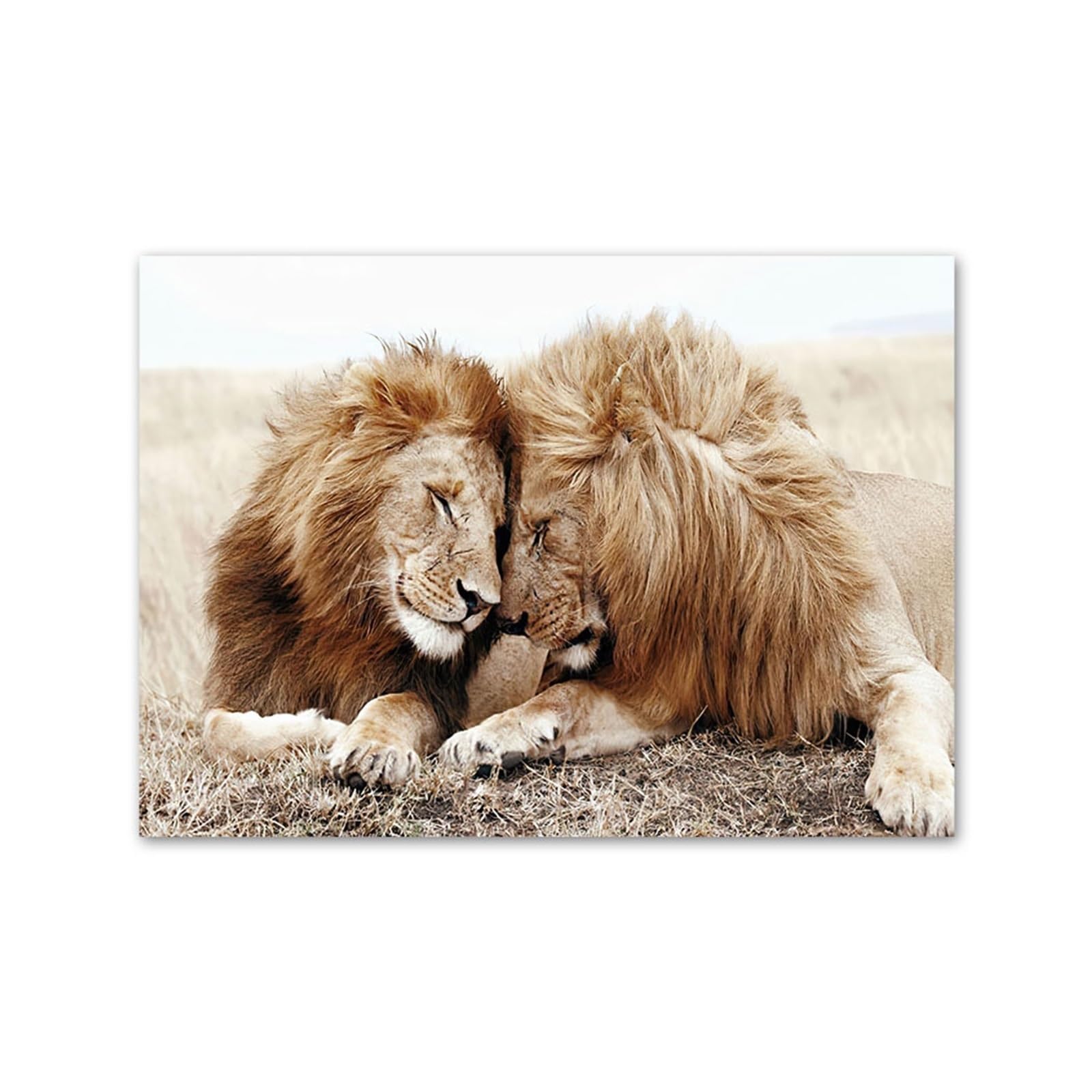 1pc Farmhouse Highland Cow Wall Art Neutral Animal Prints Grass And Sand In Hands Posters For Living Room Decor(H,A4 21X30cm No Framed)