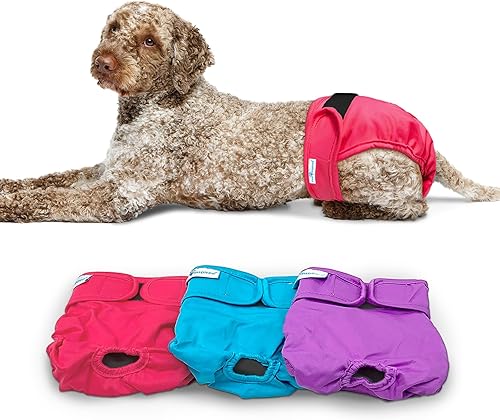 Paw Inspired Pañales lavables para perros  Pañales reutilizables para perros  Pañales para perras  Pañales absorbentes para perros  Pañal para