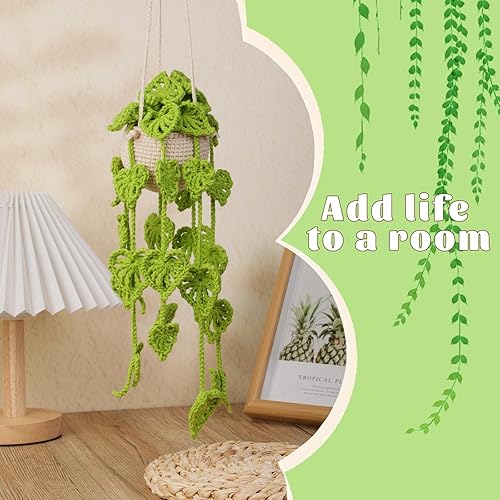 Miniatura 5 de Kogyxe Amigurumi - Kit de ganchillo para principiantes, kit de inicio de ganchillo con tutoriales en video paso a paso, plantas en macetas colgantes