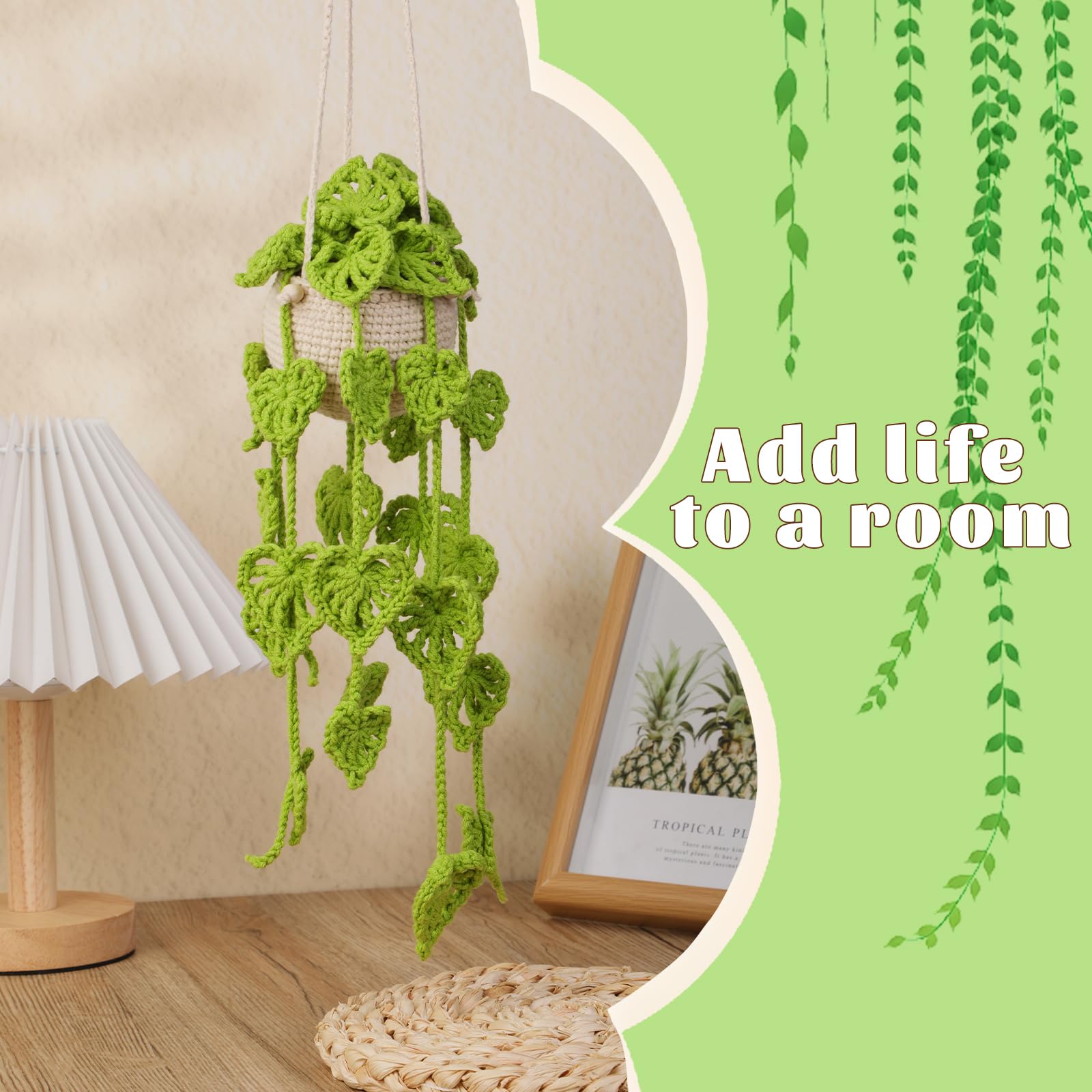 Beginner Crochet Plant Kit - Easy Hanging Flowers -5