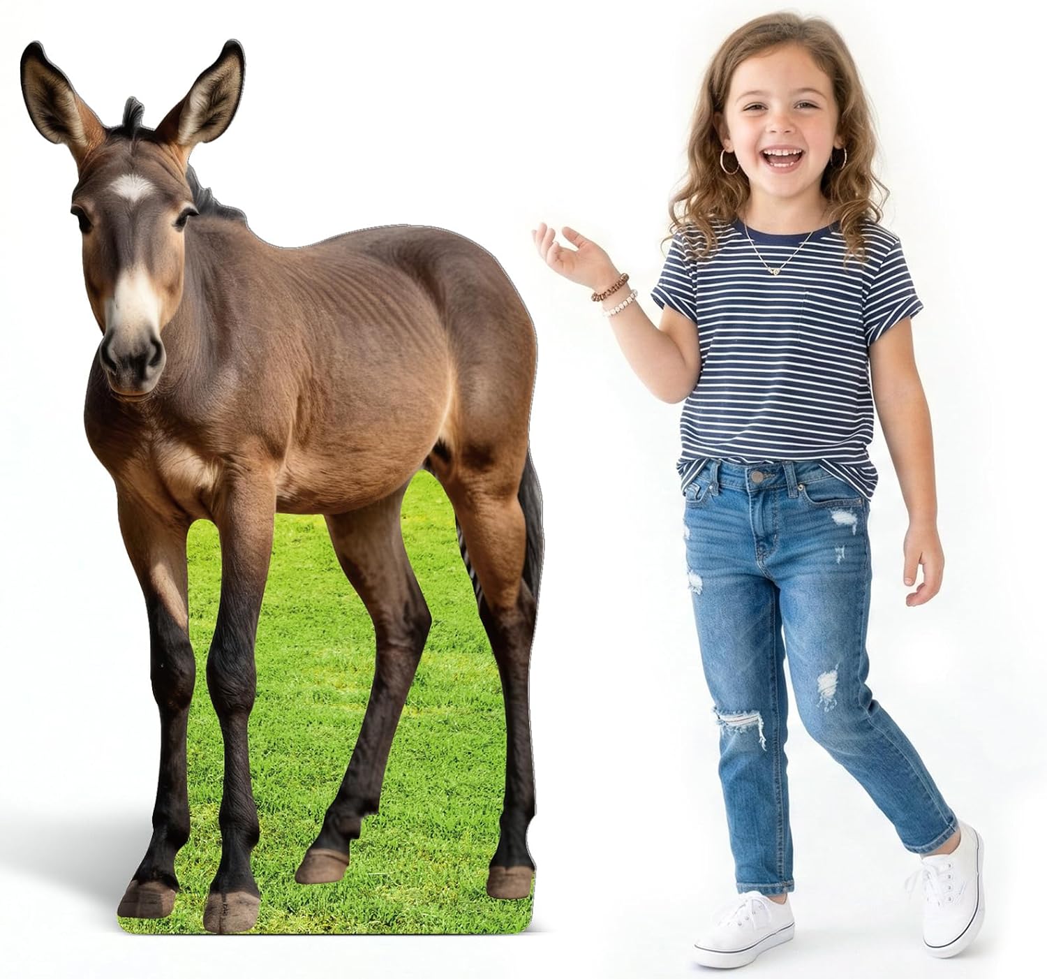 2FT Donkey Cardboard Cutout Life-Size Animal Cutout Realistic Farm Animal Photo Booth Prop Decor for Parties, Farm-Themed Events, Classrooms, Birthday Decoration Supplies 14.13 x 23.62 Inches