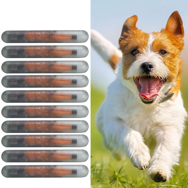 Foto 7 de 8 de 10 microchips para identificación de mascotas de 1,25 mm