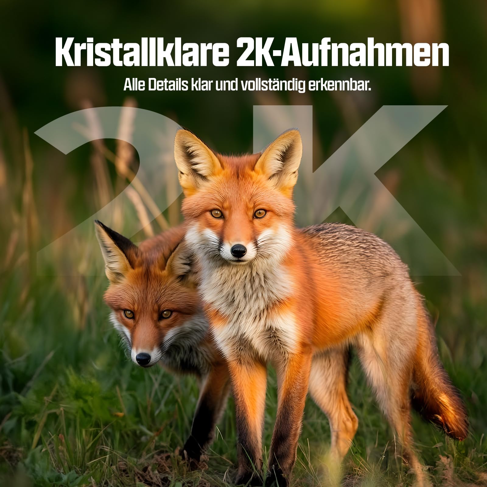 CEYOMUR 4G LTE Wildkamera mit Handyübertragung App, 2K HD Wildkamera mit SIM Karte mit 2.0" LCD-Bildschirm, Wildtierkamera mit IP66 Wasserdicht,Cloud/TF Storage, 0.2s Trigger