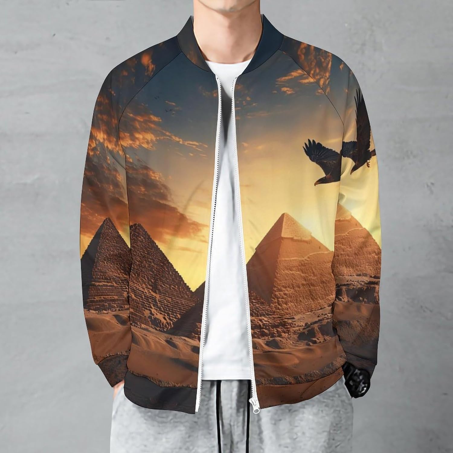 Egyptian Pyramids Flying Ea-gle Men's Zip Up Sweatshirt Casual Sweater Jackets Long Sleeve Tops Lightweight Coat